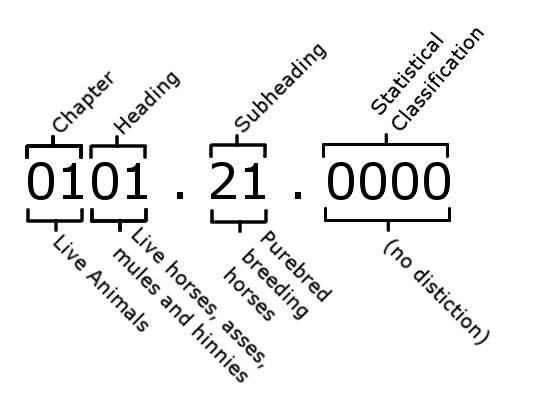 Was ist eine Schedule B-Nummer? - Descartes CustomsInfo