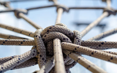 Post-Brexit Issues Could take Years to Untangle – EU-to-UK Customs Declarations and Claiming Preferential Rates Chief Among Them