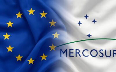 The EU-Mercosur Agreement Is Now Operational. Is your Company Ready? 
